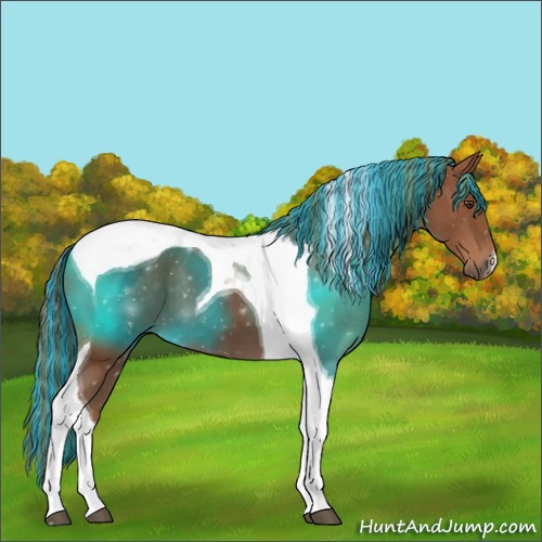 Horse Color:Painted Chestnut Tobiano 