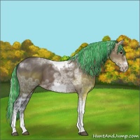 Horse Color:Painted Silver Bay Ice Sabino Tobiano Frame 
