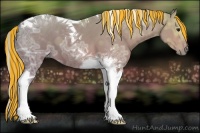 Horse Color:Painted Silver Bay Ice Roan Tobiano 