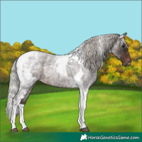 Horse Color:Silver Brown Roan Tobiano 