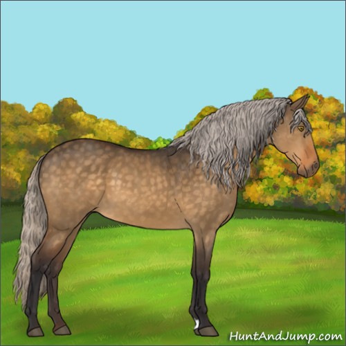 Horse Color:Silver Buckskin Dun 