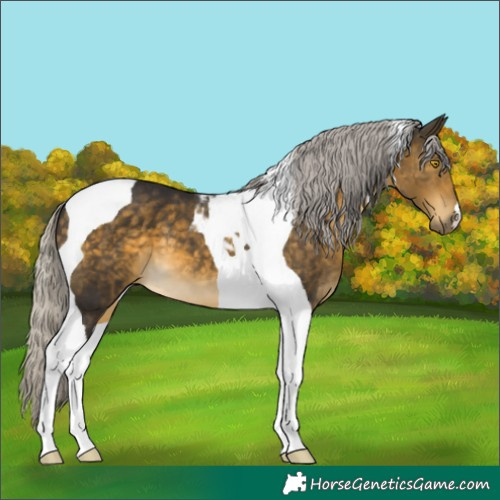 Horse Color:Silver Buckskin Mushroom Tobiano