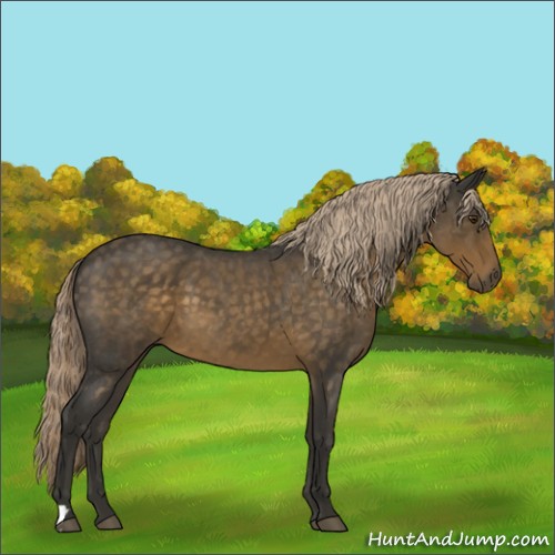 Horse Color:Chocolate Palomino Roan