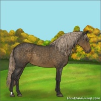 Horse Color:Chocolate Palomino Roan
