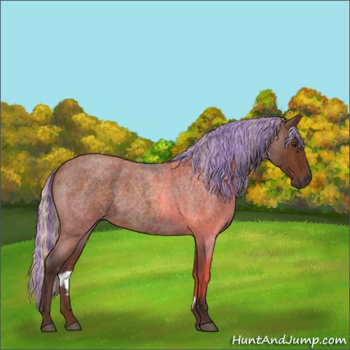 Horse Color:Painted Silver Buckskin Roan 