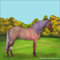 Horse Color:Painted Silver Buckskin Roan 