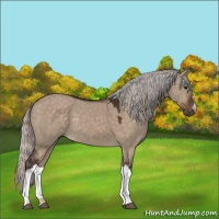 Horse Color:Silver Brown Dun 
