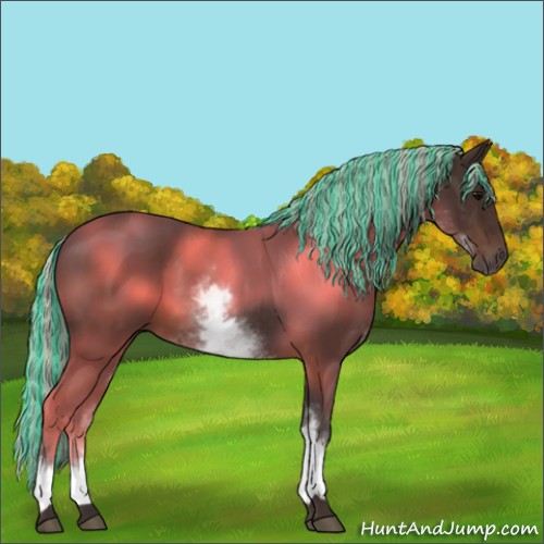 Horse Color:Painted White Spotted Silver Brown