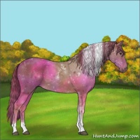 Horse Color:Chestnut Tobiano 