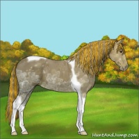 Horse Color:Painted Chestnut Ice Tobiano 