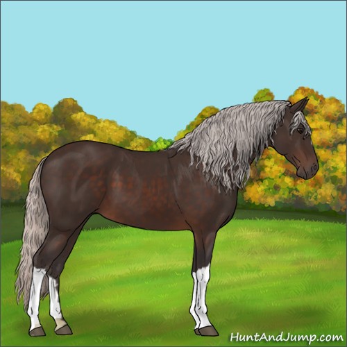 Horse Color:Silver Brown 