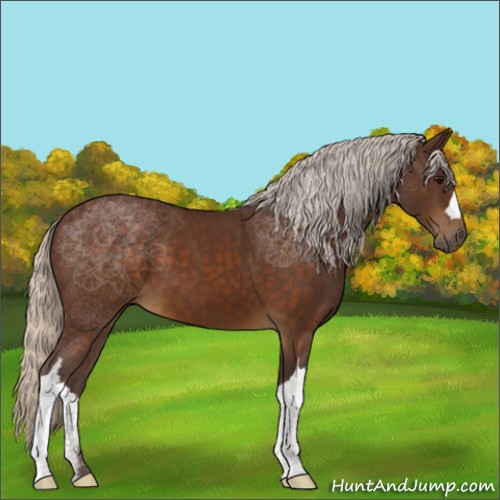 Horse Color:Silver Buckskin 