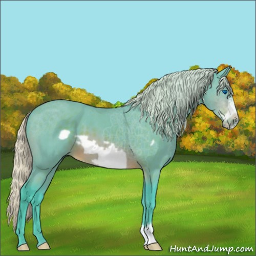 Horse Color:Watercolor Silver Brown Frame 