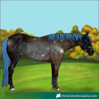 Horse Color:ERROR: UNKNOWN ANOMALY