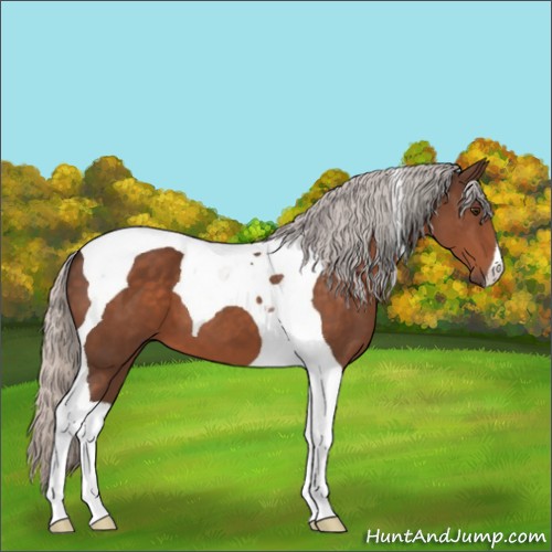 Horse Color:Silver Brown Tobiano