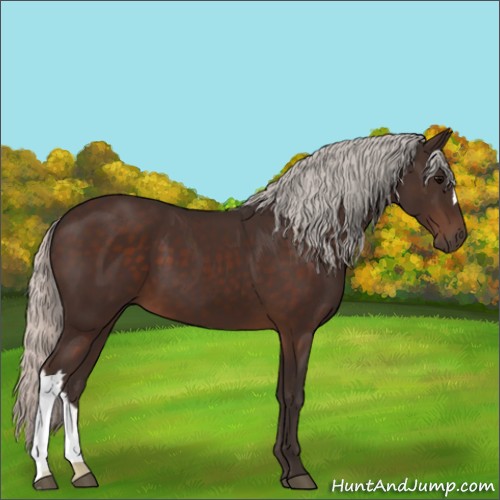 Horse Color:Silver Brown 