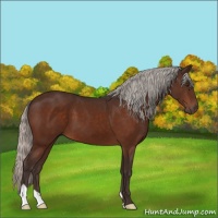 Horse Color:Silver Brown 