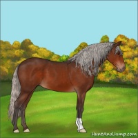 Horse Color:Silver Brown 