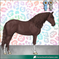 Horse Color:Chocolate Black and Chocolate Black