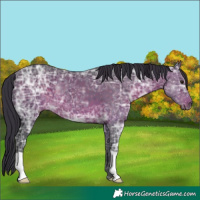 Horse Color:Brown Ice 