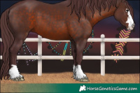 Horse Color:Chocolate Brown 