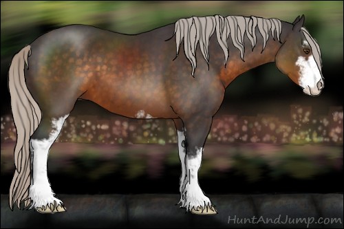 Horse Color:Silver Buckskin Sabino