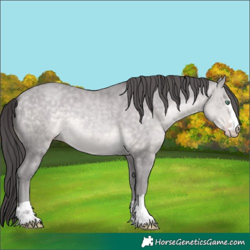 Horse Color:Platinum Sable Cream Champagne 