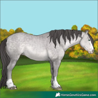 Horse Color:Platinum Sable Cream Champagne 