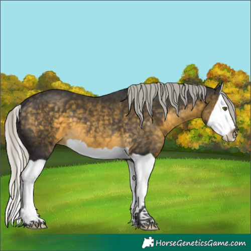 Horse Color:Silver Buckskin Splash