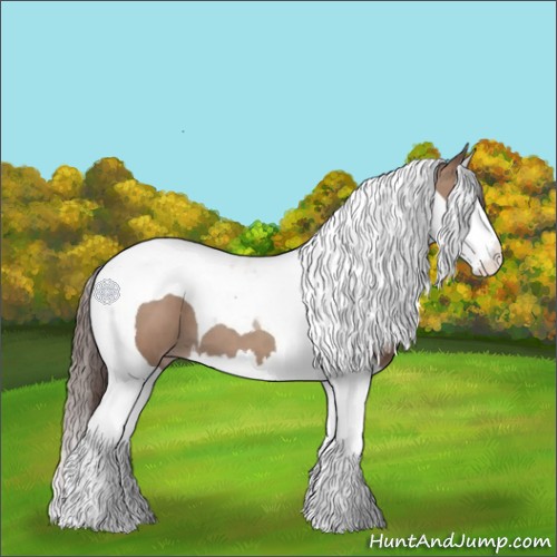 Horse Color:Classic Champagne Splash Tobiano 