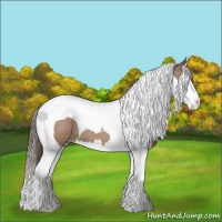 Horse Color:Classic Champagne Splash Tobiano 