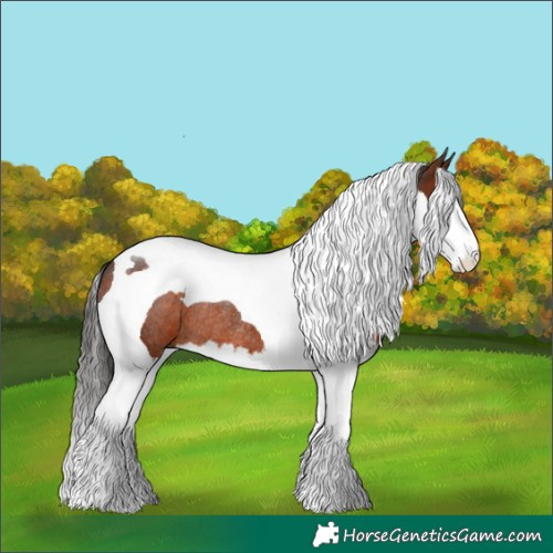 Horse Color:Brown Splash Tobiano Rabicano
