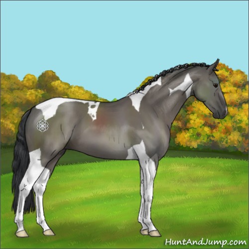 Horse Color:Grullo Tobiano 
