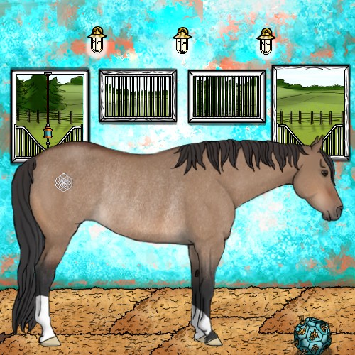 Horse Color:Brown Dun Rabicano