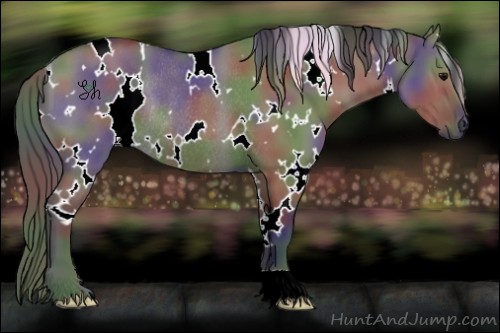 Horse Color:Nacre White Spotted Grullo Rabicano