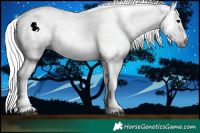 Horse Color:Gray Bay 