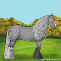 Horse Color:Silver Grullo Chinchilla 