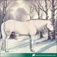 Horse Color:Silver Classic Champagne Dun Splash Frame 