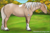 Horse Color:Silver Blue Roan Pearl Tobiano Frame 