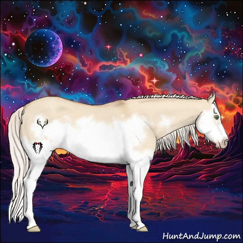 Horse Color:Silver Classic Champagne Dun Splash Frame 