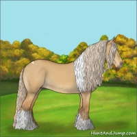 Horse Color:Palomino Dun Tobiano