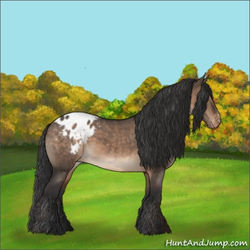Horse Color:Brown Dun Appaloosa