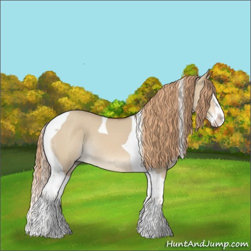 Horse Color:Red Dun Splash Tobiano Rabicano