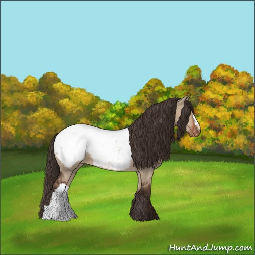 Horse Color:Liver Red Dun Appaloosa 