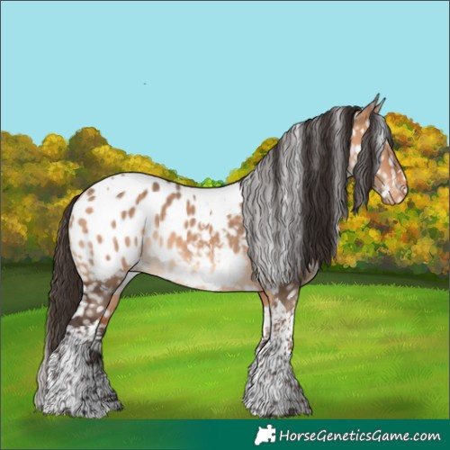 Horse Color:Bay Dun Tobiano Blanket 