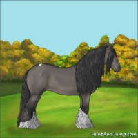 Horse Color:Grullo Tobiano Rabicano 