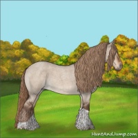 Horse Color:Liver Red Dun Roan Tobiano Rabicano 