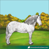 Horse Color:Chocolate Silver Smoky Blue Chinchilla Roan  and Silver Classic Cream Champagne Roan Near Leopard 