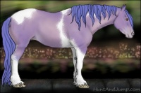 Horse Color:Watercolor Black Pearl Tobiano 