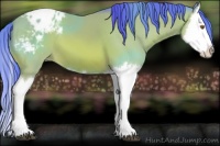Horse Color:Watercolor Bay Splash Appaloosa 
